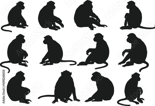 Sitting monkey silhouettes collection, wildlife vector art, jungle primate poses, black animal silhouettes, nature wildlife clipart, tropical monkey shapes