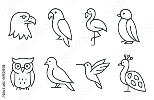 Minimalist bird outlines on textured background: eagle, parrot, flamingo, penguin, owl, pigeon, hummingbird, peacock