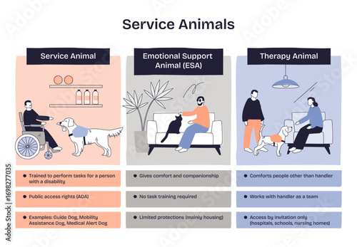 Service animals help people with disabilities, emotional support animals provide comfort, and therapy animals assist in therapy. Main objects, people, animals, icons. Doodle style diagram