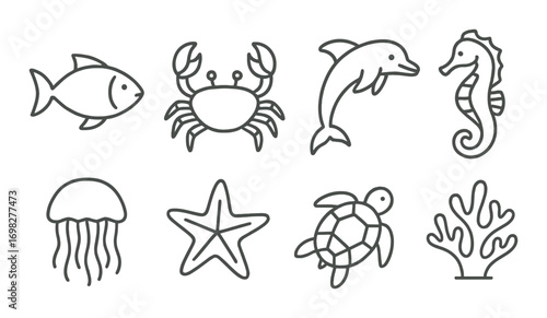 Outline of marine life: fish, crab, dolphin, seahorse, jellyfish, starfish, turtle, coral