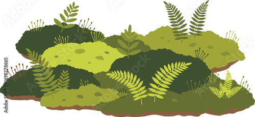 Green Moss and Fern Ground Cover with Lush Foliage for Woodland, Nature, and Botanical Design Projects