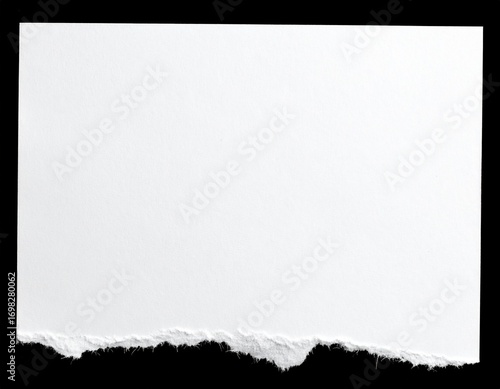 A piece of blank white paper with a rough, torn edge at the bottom, isolated on a clean black background. Perfect for adding a textured or vintage feel.

