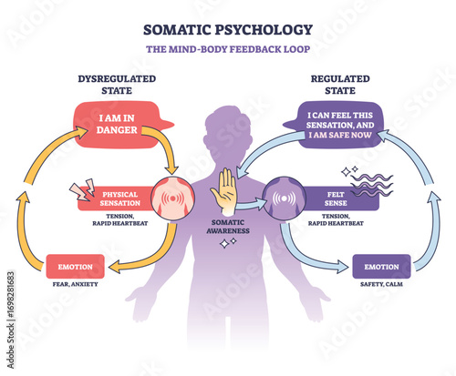 Somatic psychology diagram shows mind-body feedback loop, highlighting emotion, physical sensation, and somatic awareness. Outline diagram