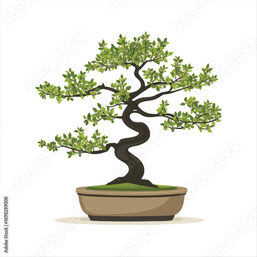 A stylized bonsai tree in a pot.  Green foliage,  intricate trunk
