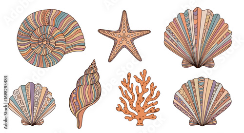Beautiful collection of ocean shells and coral for nautical decor and beach themes