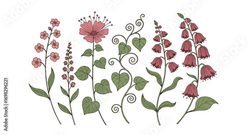 Beautiful botanical illustration of various flowering plants and delicate vines in a charming sketchy style