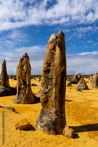 The Pinnacles in Nambung National Park near the town of Cervantes, Western Australia. The Pinnacles of Nambung National Park are natural limestone formations. 