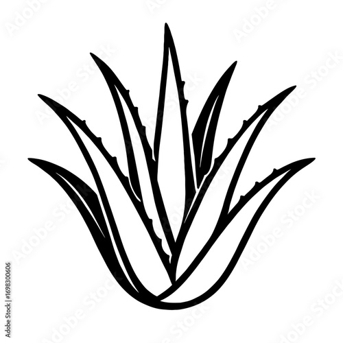 black line icon vector of an aloe vera plant