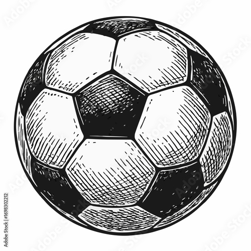 ball
soccer
player
game
champion
soccer field
fans