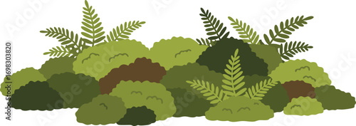 Forest Moss and Ferns Growing in Clumps for Nature, Botanical, and Woodland Floor Design Projects