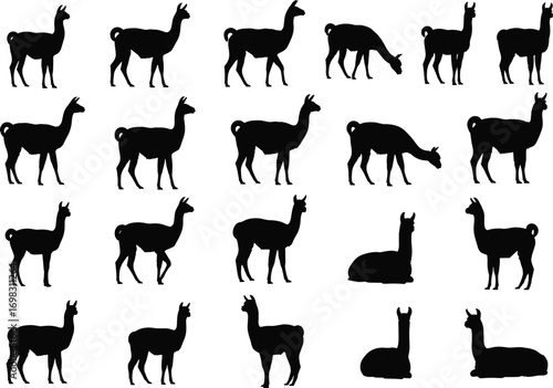 Llama silhouette vector set, black llama illustration, alpaca animal clipart, llama farm icons, grazing and standing llamas collection