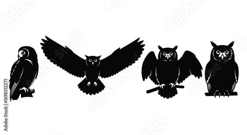 Silhouettes of four different owls displaying various poses and wing positions vector