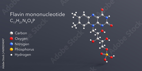 Fototapeta Naklejka Na Ścianę i Meble -  flavin mononucleotide molecule 3d rendering, flat molecular structure with chemical formula and atoms color coding