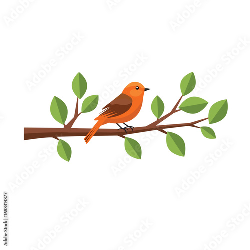 bird,branch,nature flat vector illustration of a red bird sitting on a green leafy tree branch on white background