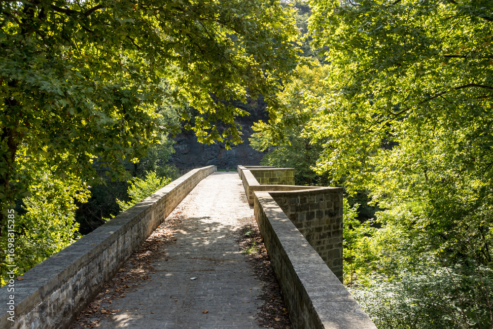 Fototapeta premium Lesaka