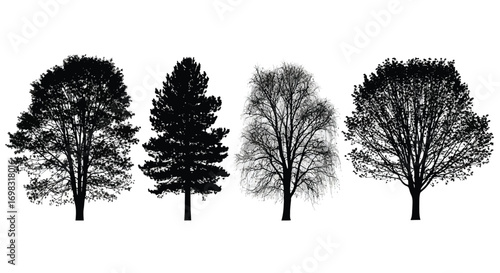 Four distinct silhouette trees botanical nature collection realistic black and white art vector