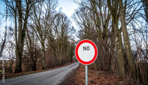 A simple 'NO' sign stands at the entrance of a tree-lined road in the winter
