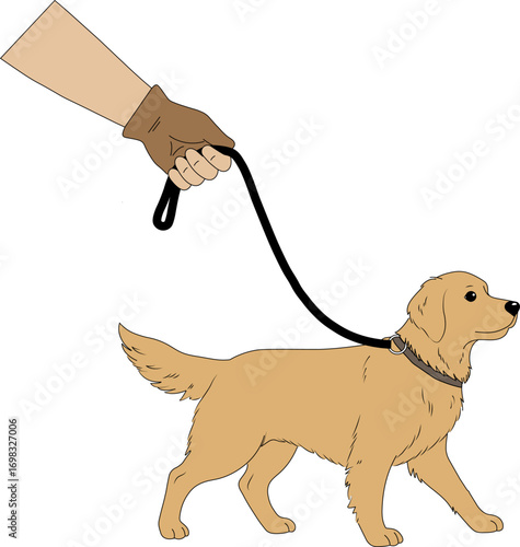 A hand holding a leash to a dog