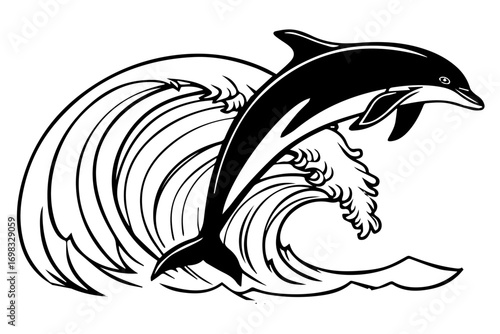 a dolphin playing in a river silhouette