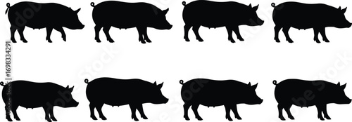 Set of pig silhouettes, black pig vector icons, farm animal illustrations, livestock shapes, pig farm clipart, animal silhouette collection
