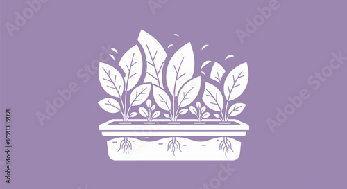Stylized illustration of leafy plants growing in a hydroponic system.