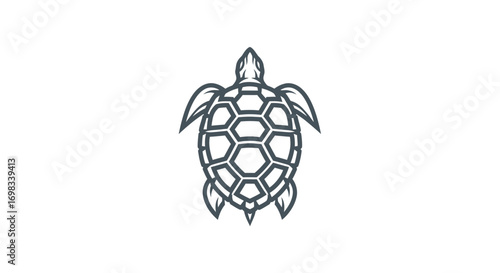Stylized line art sea turtle logo with geometric shell.