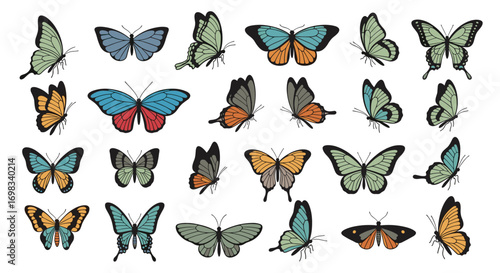 A diverse collection of colorful butterflies displayed in various poses and styles for artistic inspiration and design elements