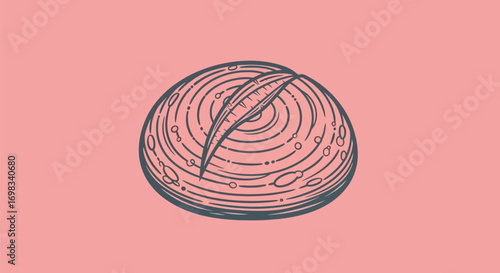 Hand drawn sketch illustration of a round artisan bread loaf.