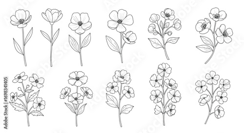 A collection of delicate botanical illustrations featuring various flower arrangements and stem styles
