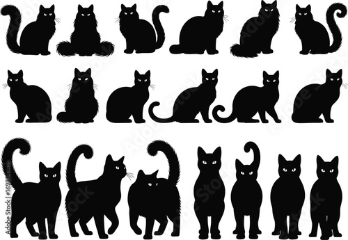 Black cat silhouettes collection with different poses and tail styles, vector illustration set of domestic feline animals isolated on white.