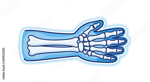 Artistic Illustration of Human Hand Bones in Blue Outline.