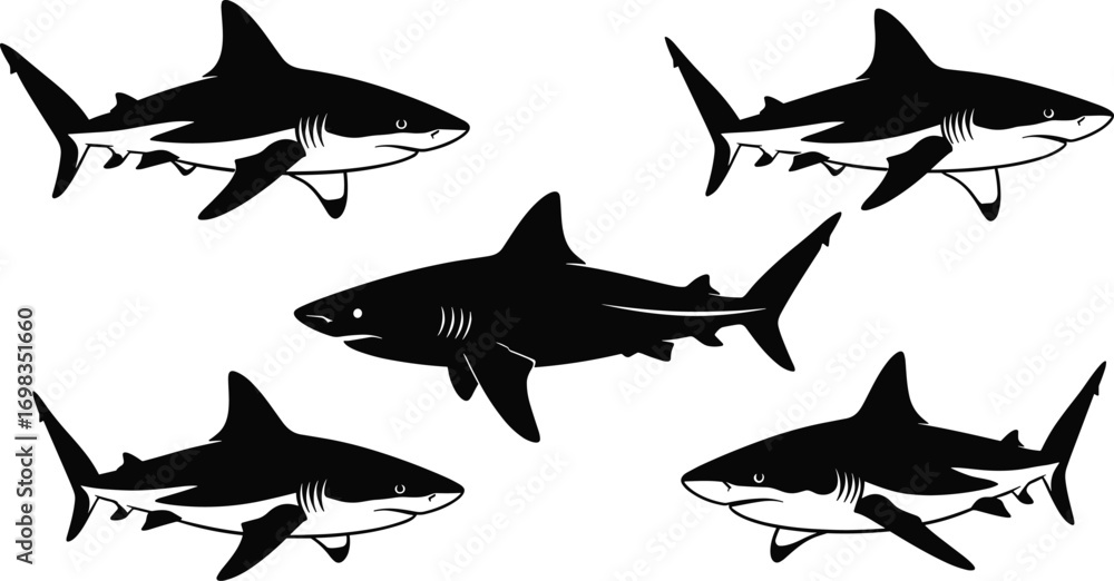 Fototapeta premium Shark, silhouettes, marine, animals, ocean, predator, fish, sea, wildlife, aquatic, black, outline, vector, illustration, isolated, design, element