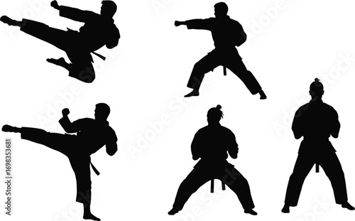 Dynamic silhouettes of martial artists performing various karate poses and kicks against a white background.