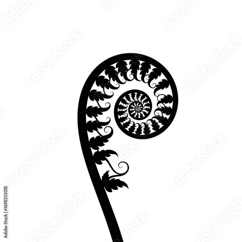 Black fern frond unfurling in a spiral silhouette isolated on white background