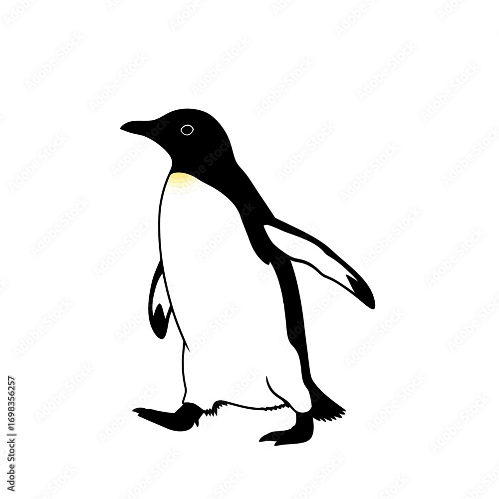 Fototapeta premium Penguin walking silhouette isolated on white background