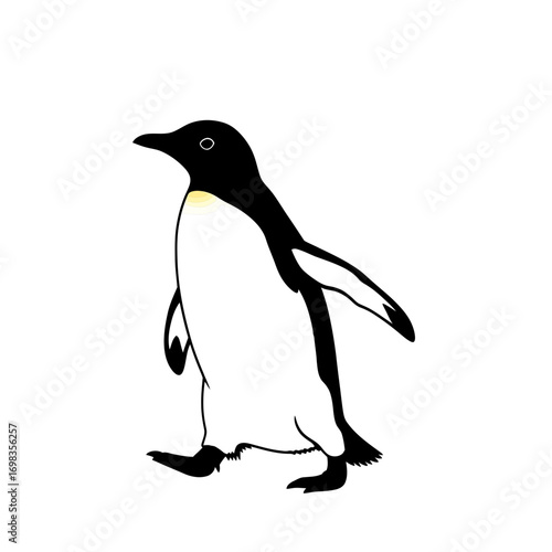 Penguin walking silhouette isolated on white background