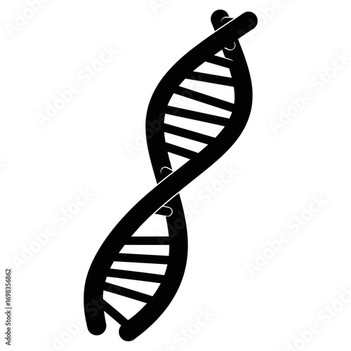 Black dna helix silhouette isolated on white background