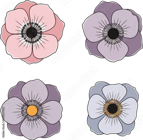 Four delicate anemone flowers in soft pastel hues botanical art floral design element vector
