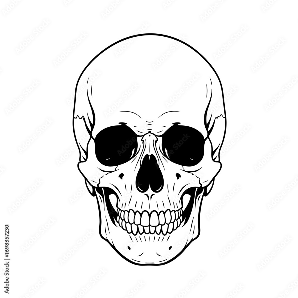Fototapeta premium Human skull illustration silhouette isolated on white background