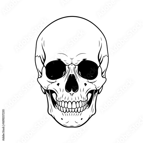 Human skull illustration silhouette isolated on white background