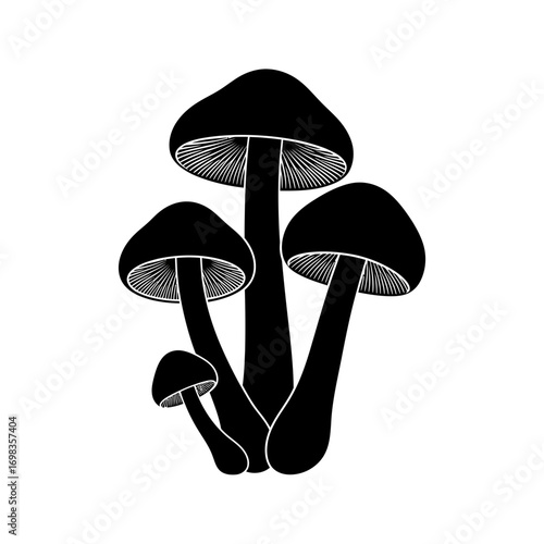 Group of mushrooms silhouette isolated on white background