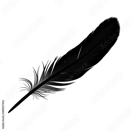 Black feather silhouette isolated on white background