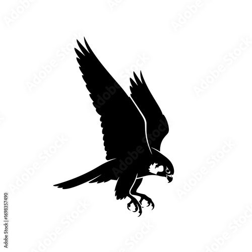 Peregrine falcon in flight silhouette isolated on white background