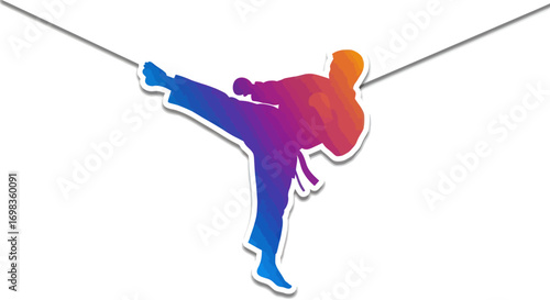 Colorful Silhouette of a Karateka in a Powerful Kick.