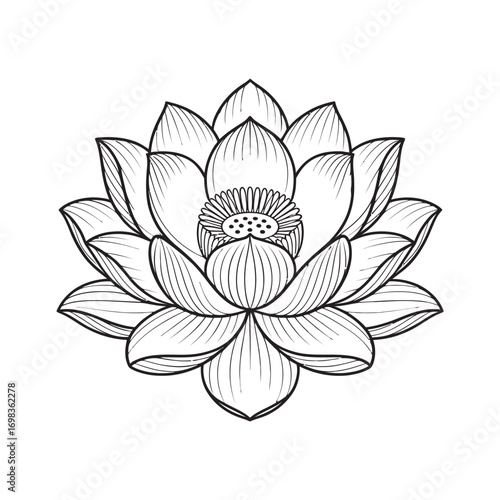 Elegant black and white lotus flower line art illustration, a vector symbol of purity and spirituality for yoga and meditation