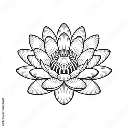 Elegant black and white lotus flower in a hand-drawn line art style. Isolated vector floral illustration for spiritual and wellness design 