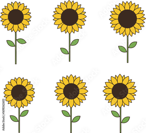 Six vibrant sunflowers blooming with detailed petals and green stems isolated vector