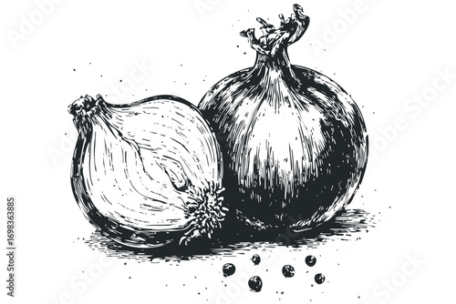 Pencil drawing of an onion and its cross-section with peppercorns on white