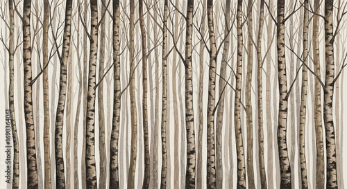 Birch Tree Forest - A Serene Woodland Scene.