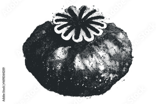 Single Poppy Seed Pod Halftone Graphic